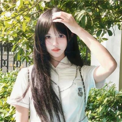 美国派:高潮再起