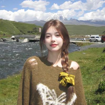 调查者:仅供执勤